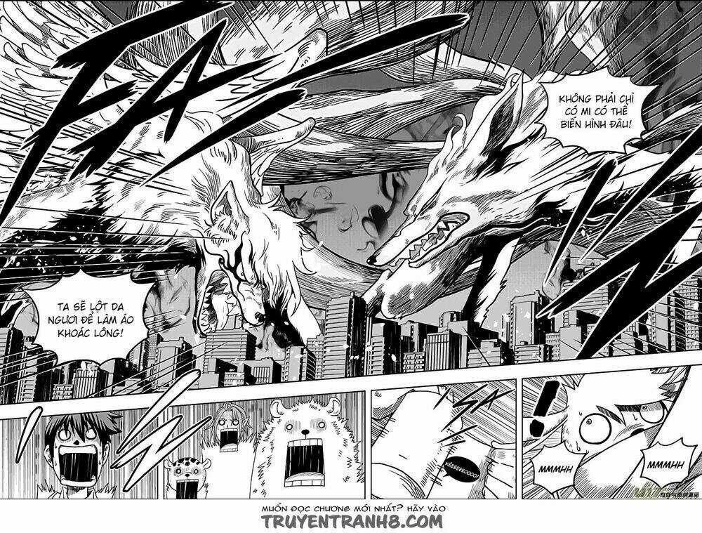 Macrophage Regulation Chapter 7 trang 16