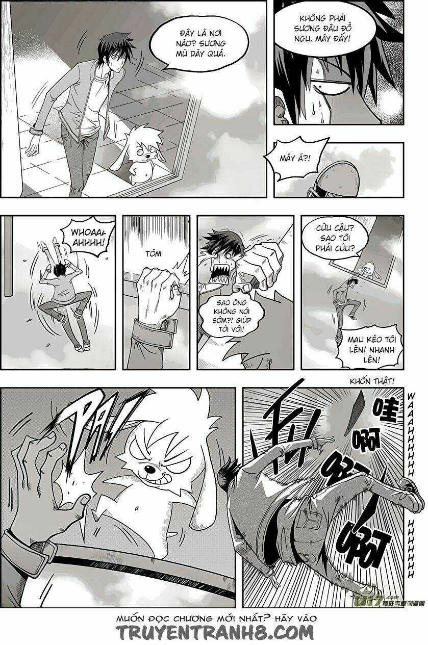 Macrophage Regulation Chapter 8 trang 13