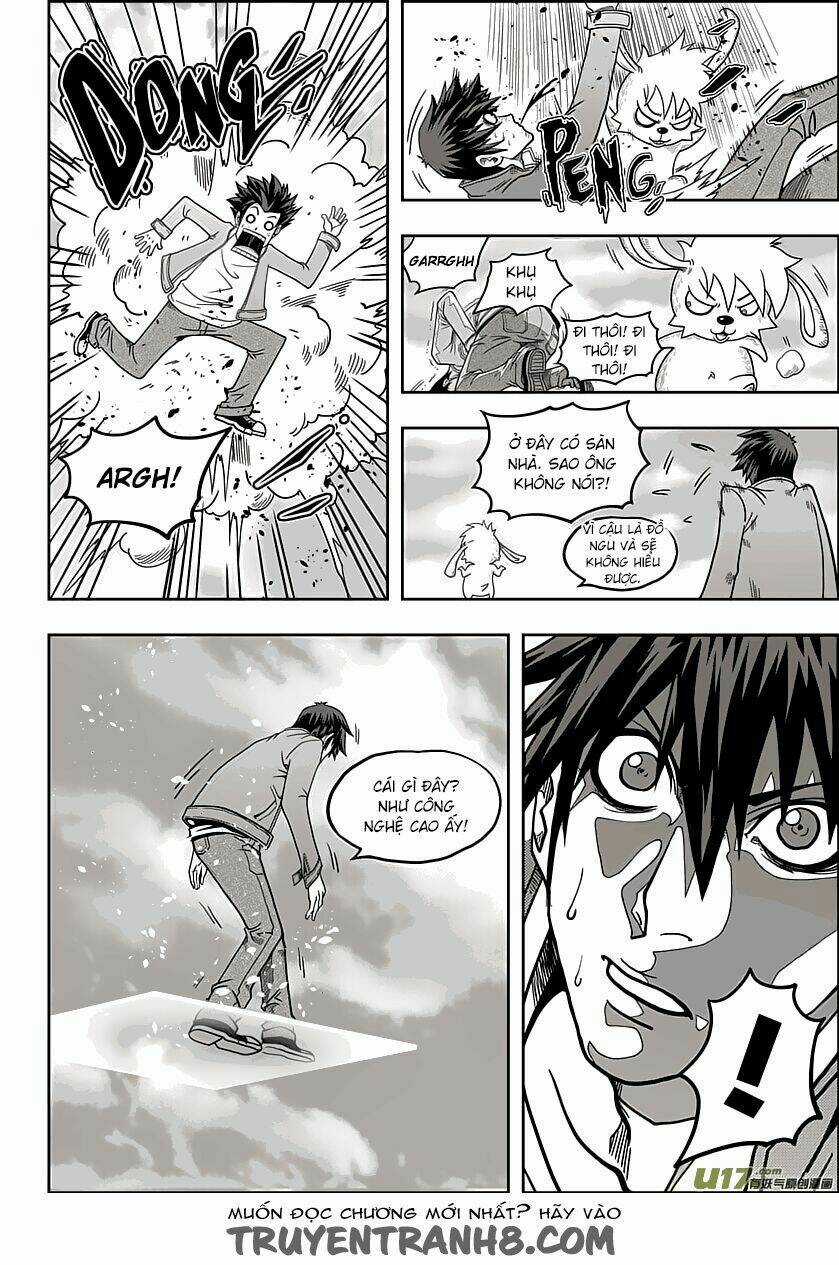 Macrophage Regulation Chapter 8 trang 14