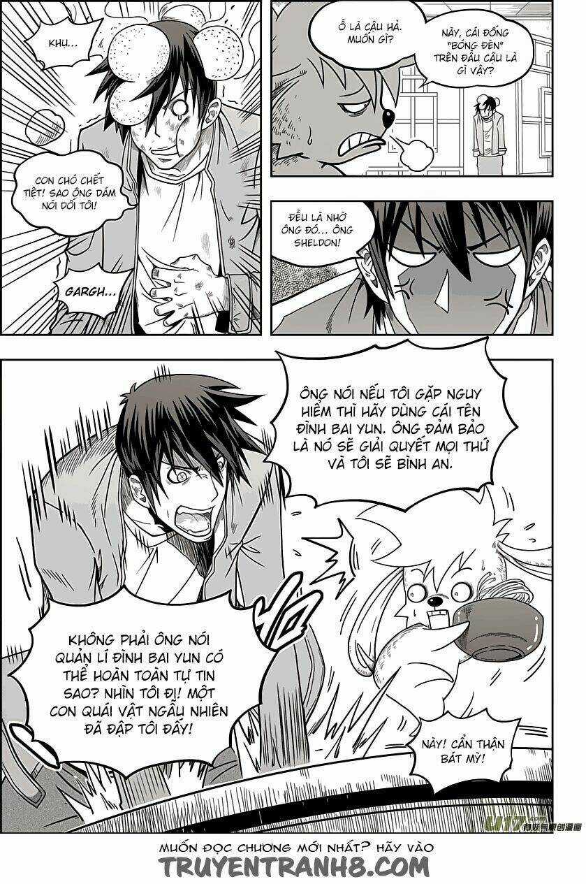 Macrophage Regulation Chapter 8 trang 7