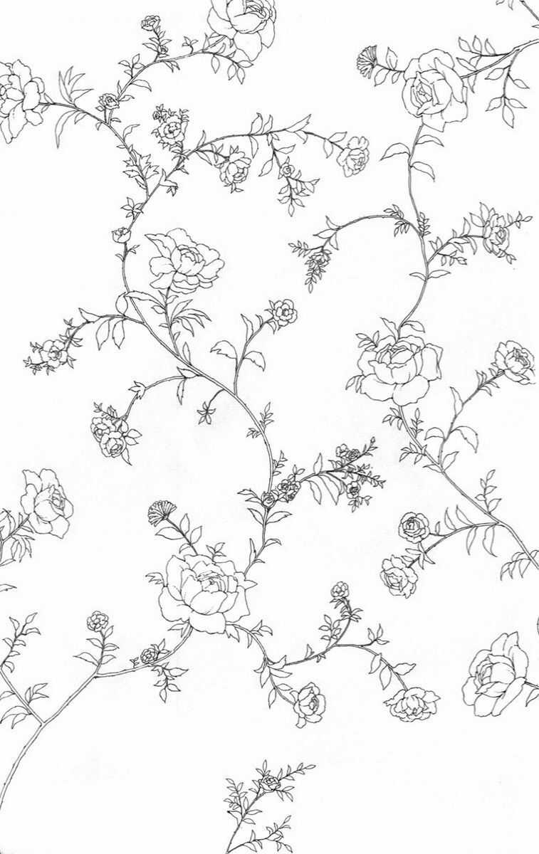 Madame Petit Chapter 12 trang 36