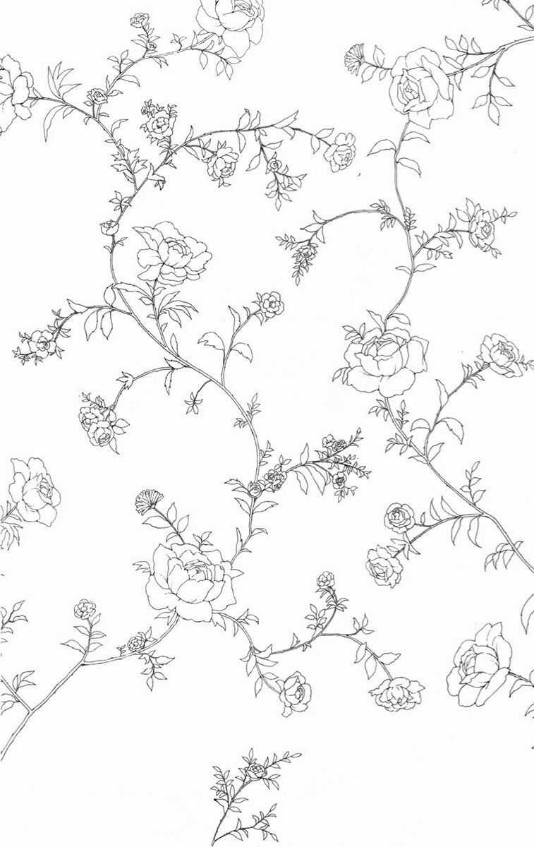 Madame Petit Chapter 13 trang 2