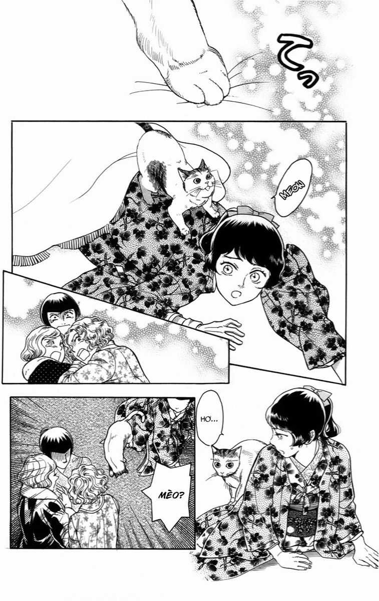 Madame Petit Chapter 18 trang 27