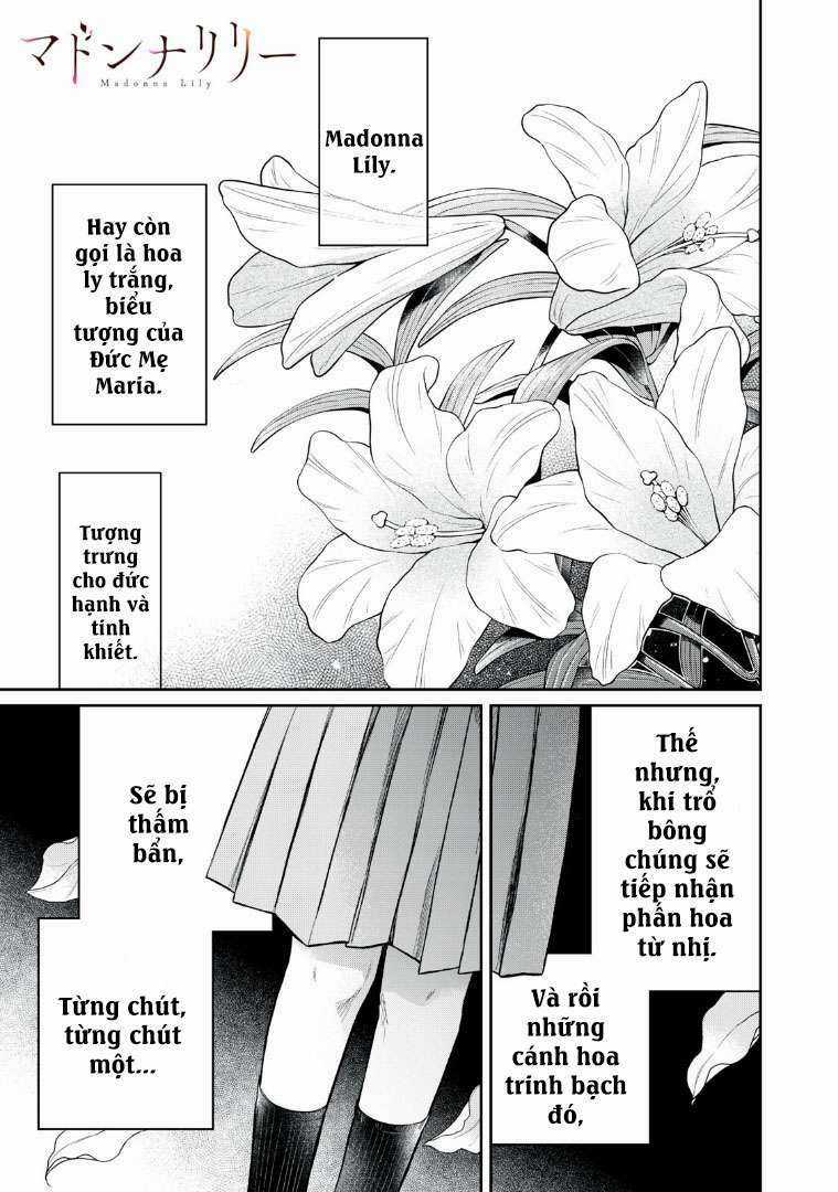 Madonna Lily Chapter 1 trang 2