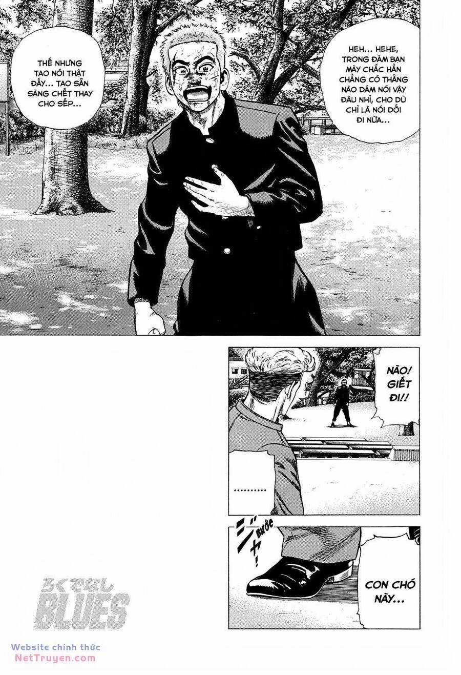 Maeda Taison Blues Chapter 276 trang 12