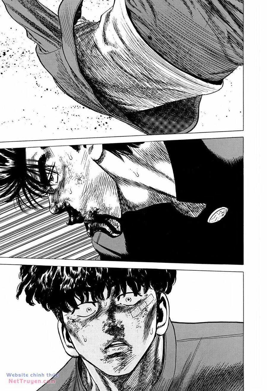 Maeda Taison Blues Chapter 281 trang 14