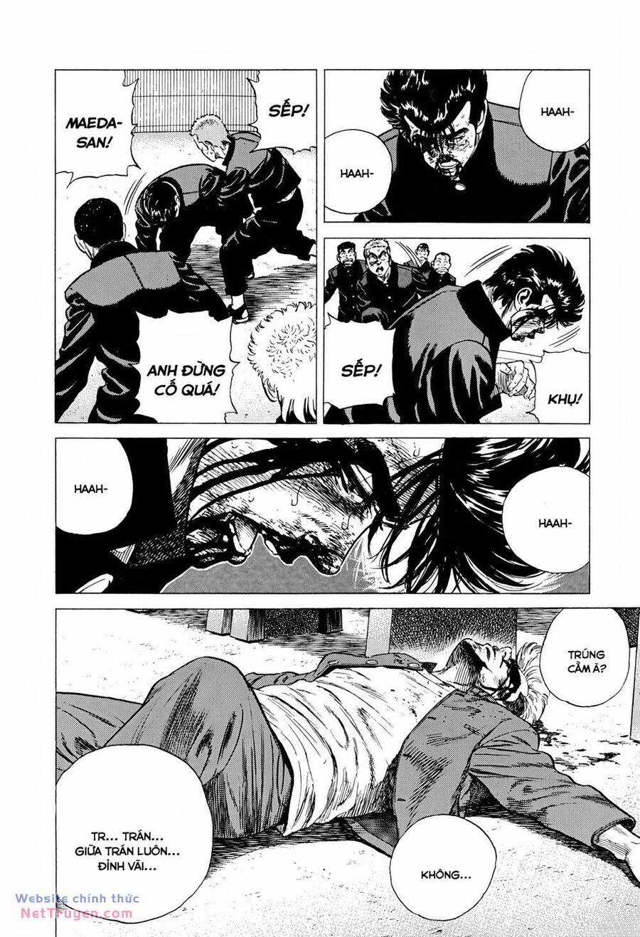 Maeda Taison Blues Chapter 282 trang 3