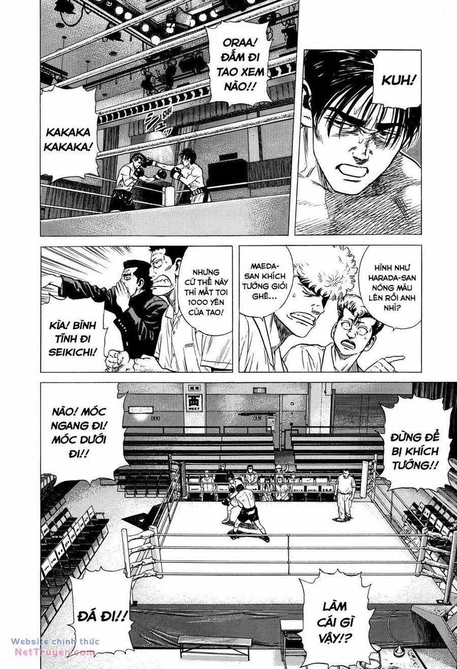 Maeda Taison Blues Chapter 299 trang 13