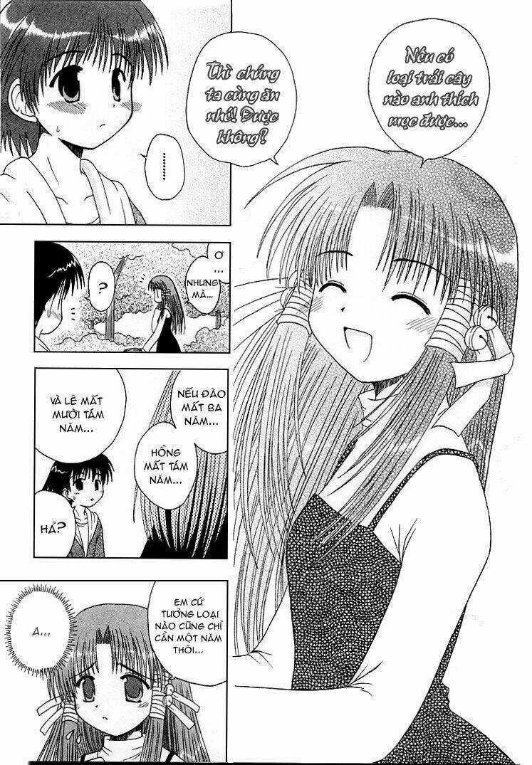 Mahoraba Chapter 2 trang 24