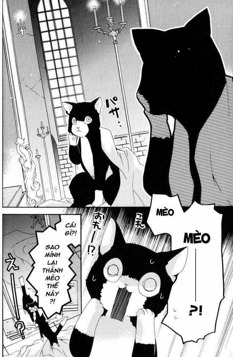 Mahoutsukai No Neko Chapter 1 trang 21