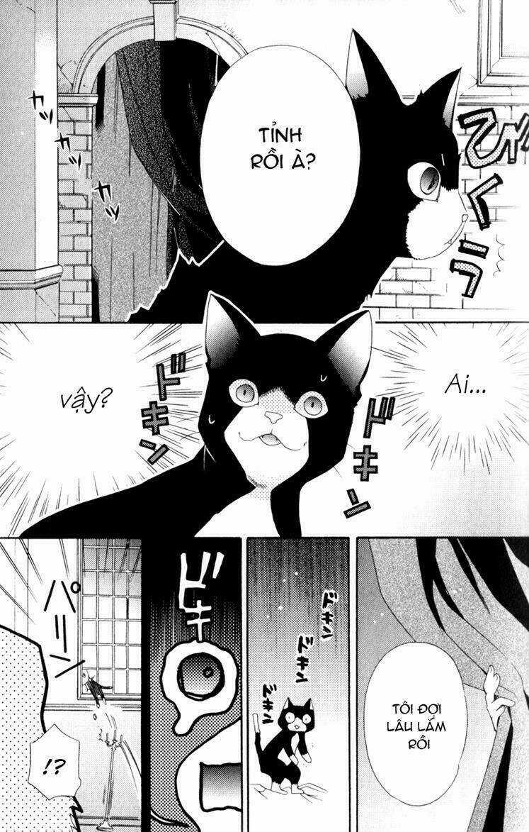 Mahoutsukai No Neko Chapter 1 trang 22