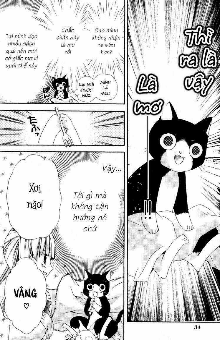 Mahoutsukai No Neko Chapter 1 trang 27