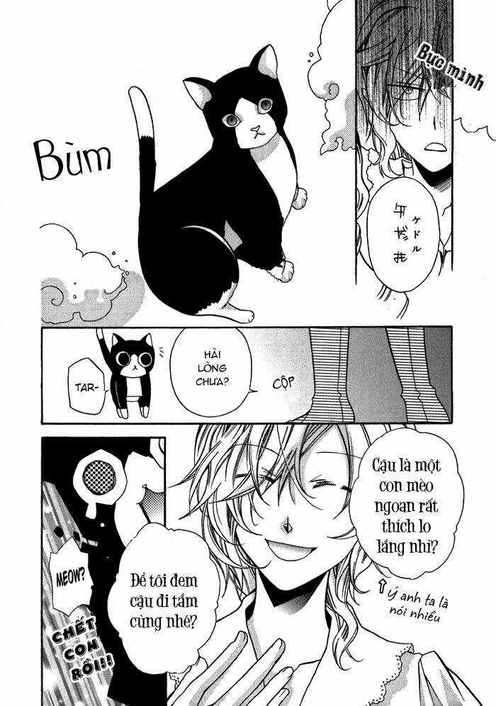 Mahoutsukai No Neko Chapter 13.1 trang 10