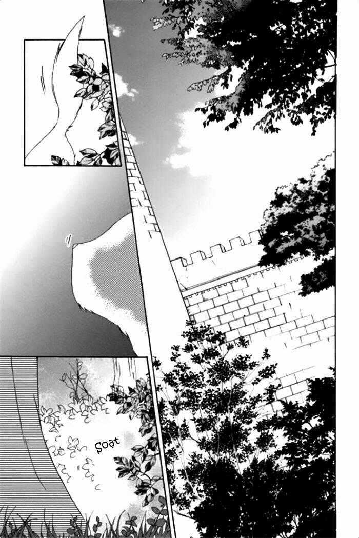 Mahoutsukai No Neko Chapter 16 trang 27