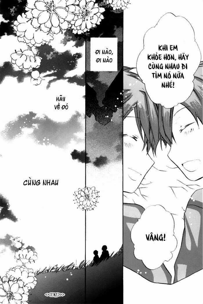 Mahoutsukai No Neko Chapter 20.1 trang 10