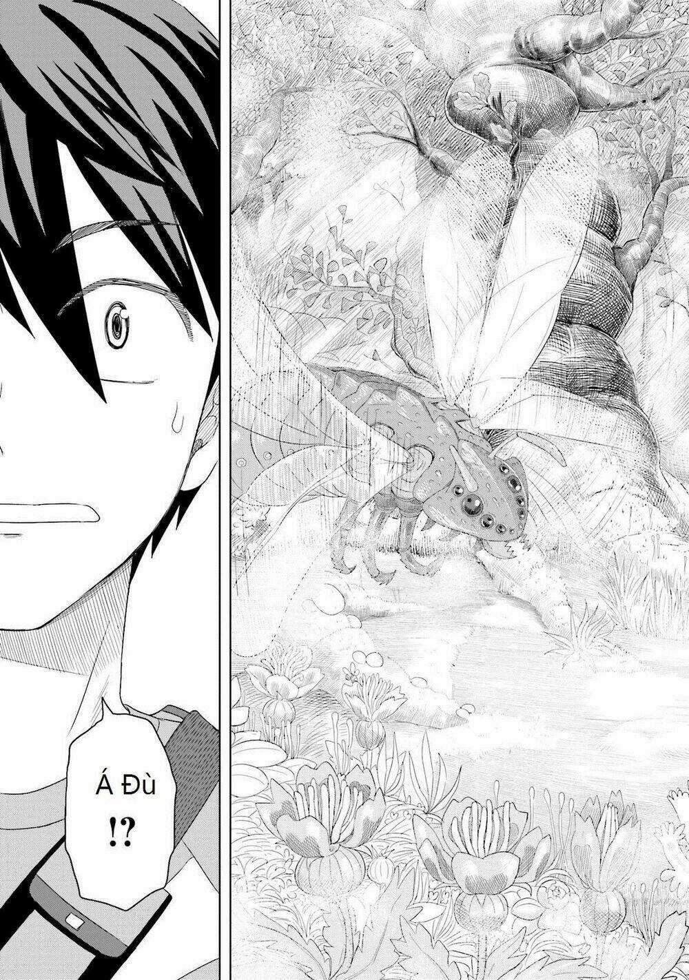 Maiden Order Chapter 1 trang 20