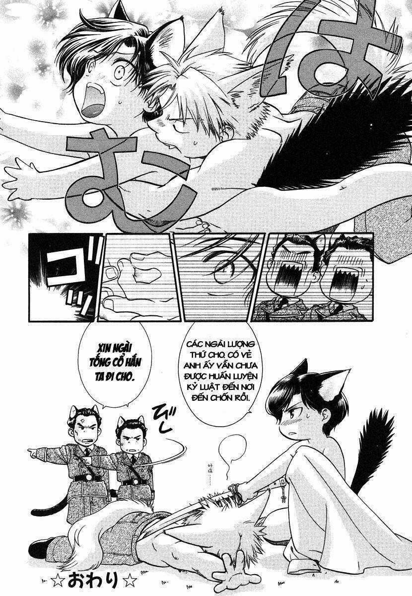 Maiden Rose-Special Chapter 1 trang 5