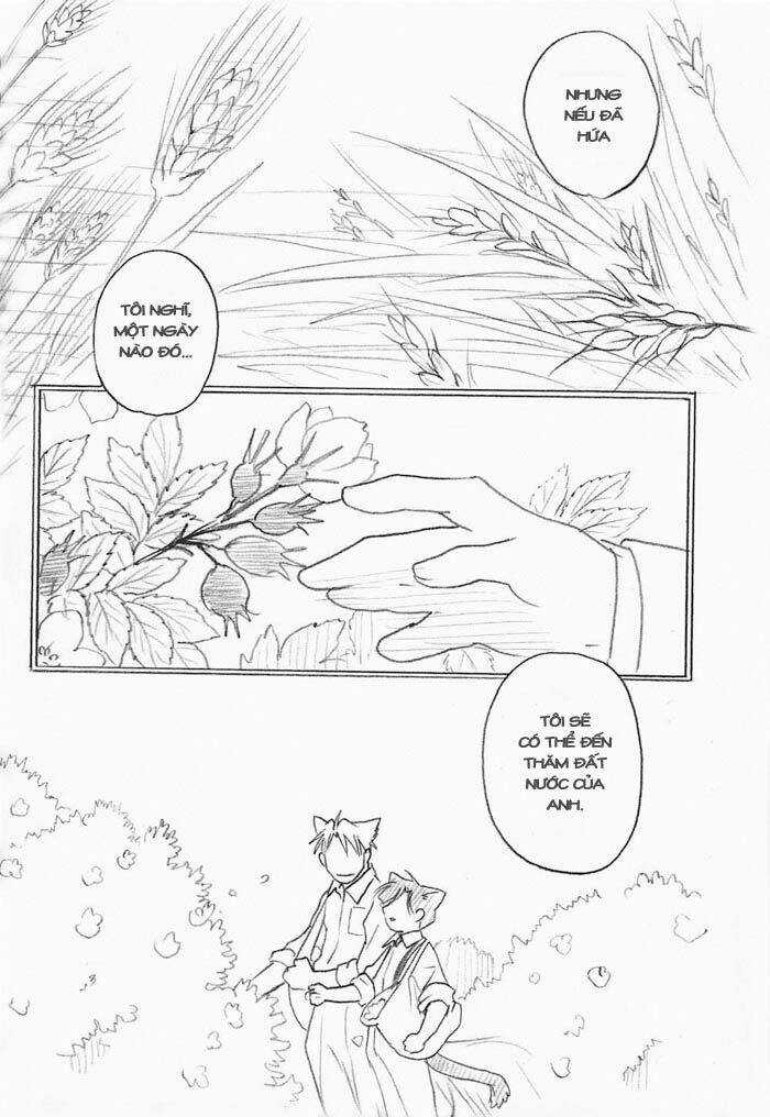Maiden Rose-Special Chapter 10 trang 17