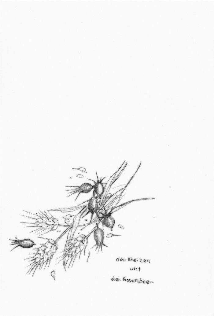 Maiden Rose-Special Chapter 10 trang 19