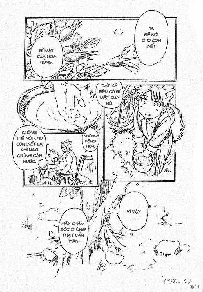 Maiden Rose-Special Chapter 11.1 trang 6