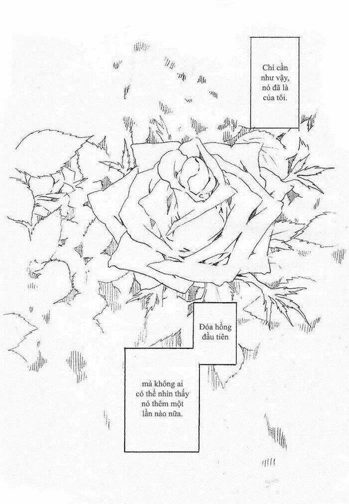 Maiden Rose-Special Chapter 11.2 trang 5