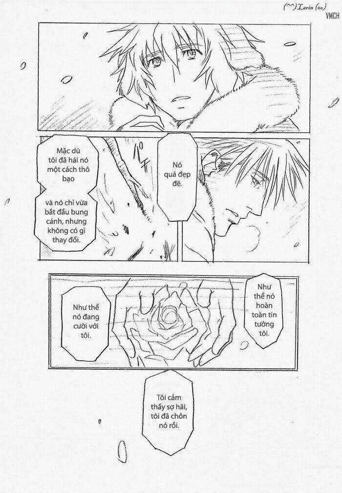 Maiden Rose-Special Chapter 13 trang 11