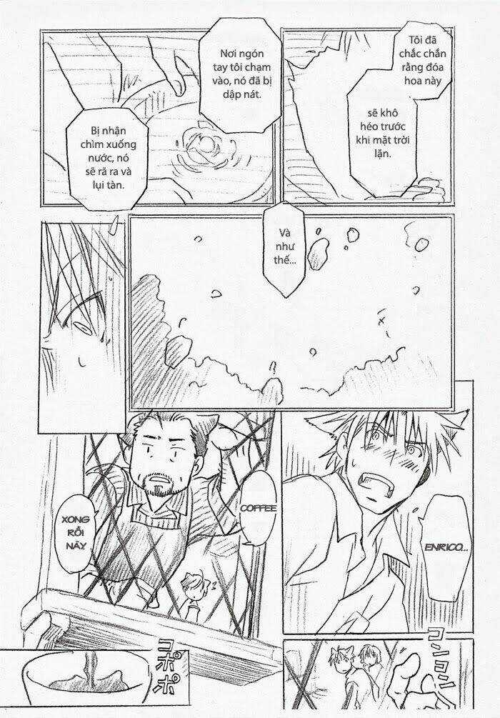 Maiden Rose-Special Chapter 13 trang 12