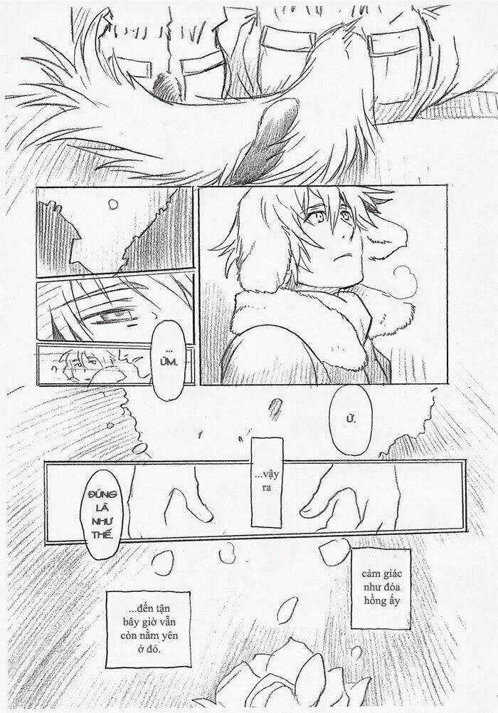 Maiden Rose-Special Chapter 13 trang 19