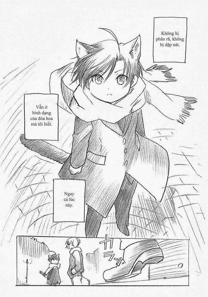 Maiden Rose-Special Chapter 13 trang 20