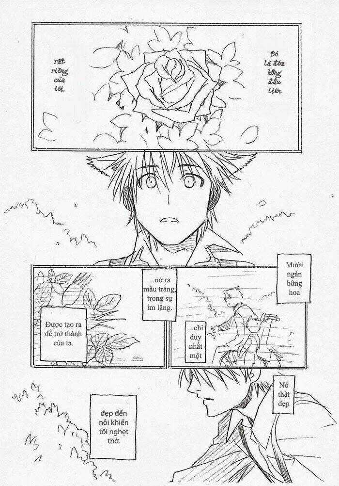 Maiden Rose-Special Chapter 13 trang 3