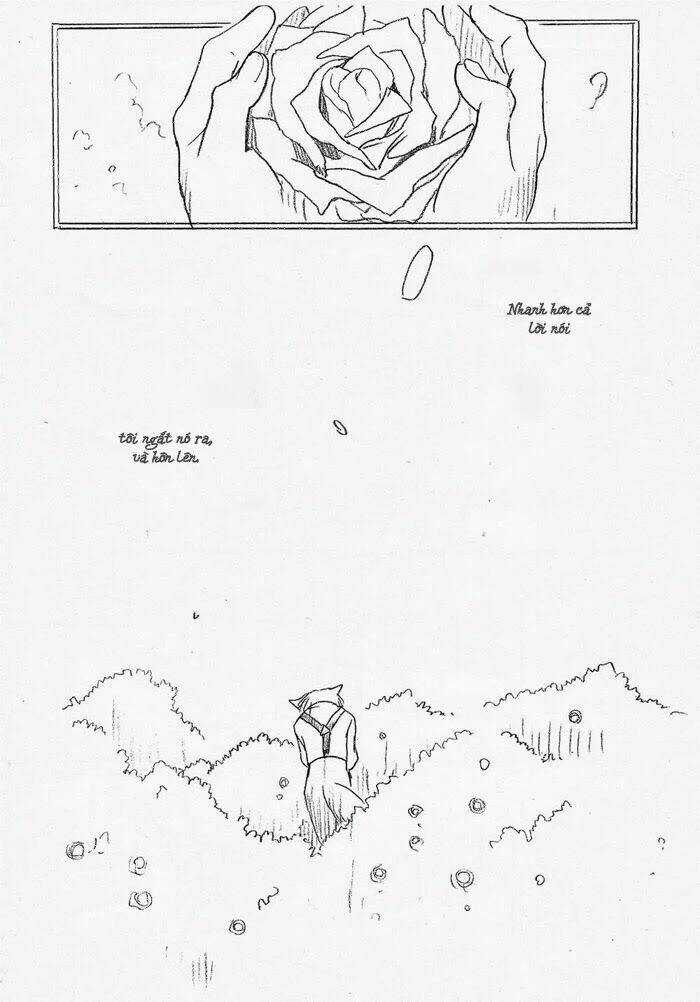 Maiden Rose-Special Chapter 13 trang 4