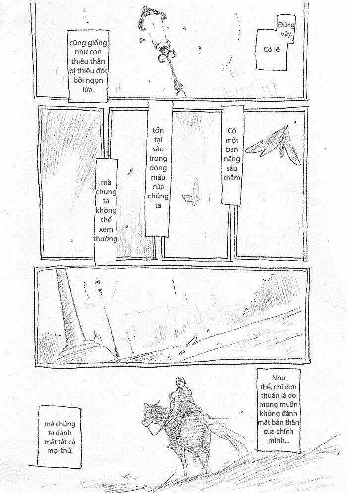 Maiden Rose-Special Chapter 14 trang 2