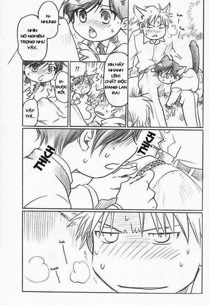 Maiden Rose-Special Chapter 15 trang 10