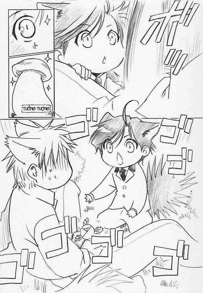 Maiden Rose-Special Chapter 15 trang 11