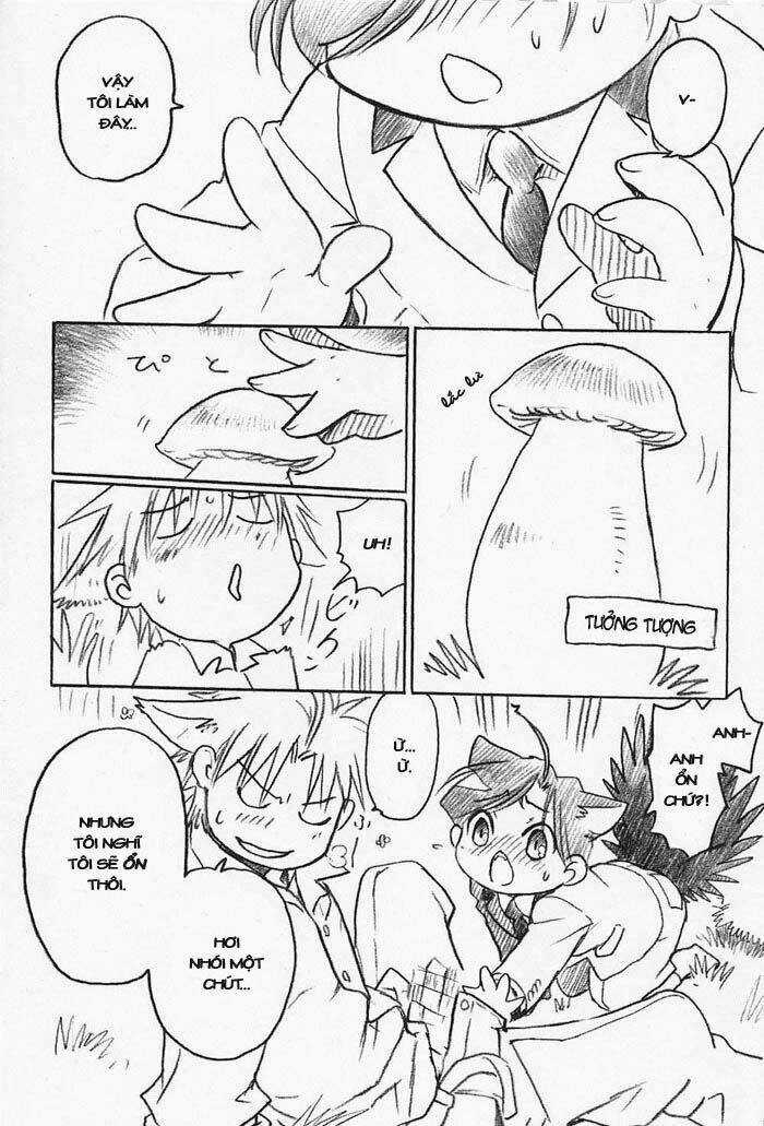 Maiden Rose-Special Chapter 15 trang 14