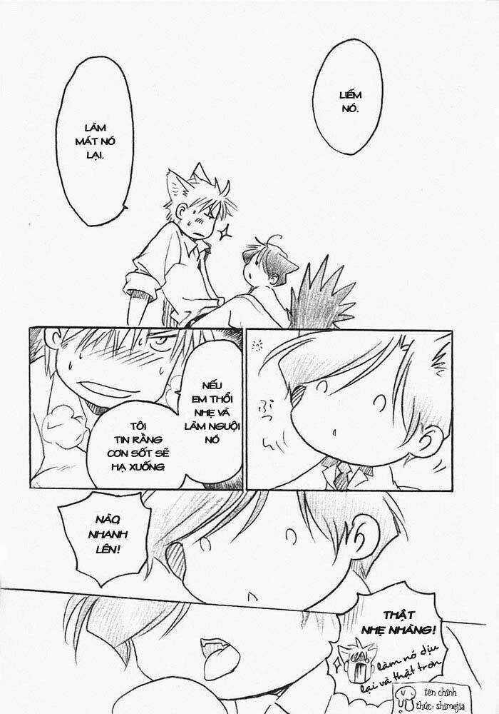 Maiden Rose-Special Chapter 15 trang 16