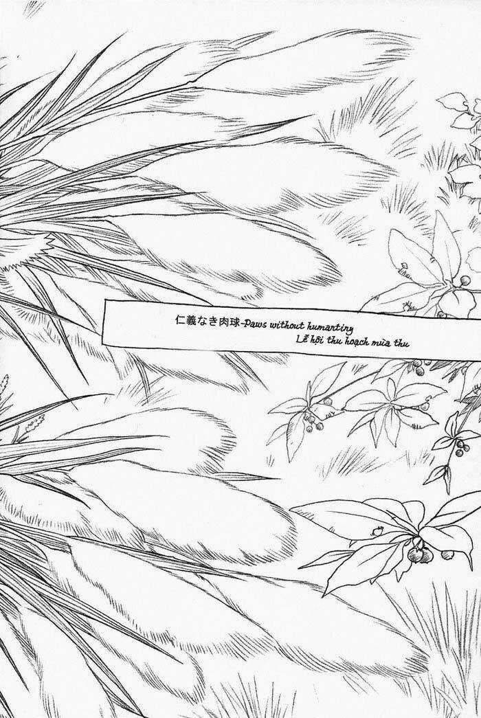 Maiden Rose-Special Chapter 15 trang 2