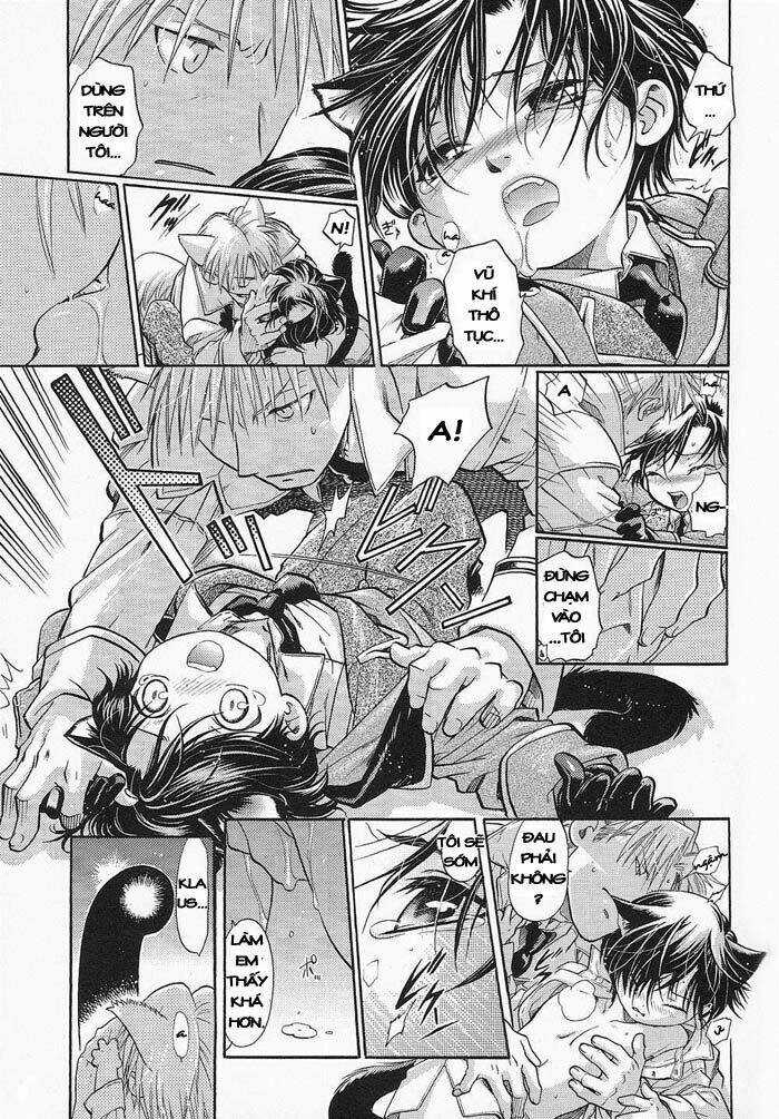 Maiden Rose-Special Chapter 4 trang 11