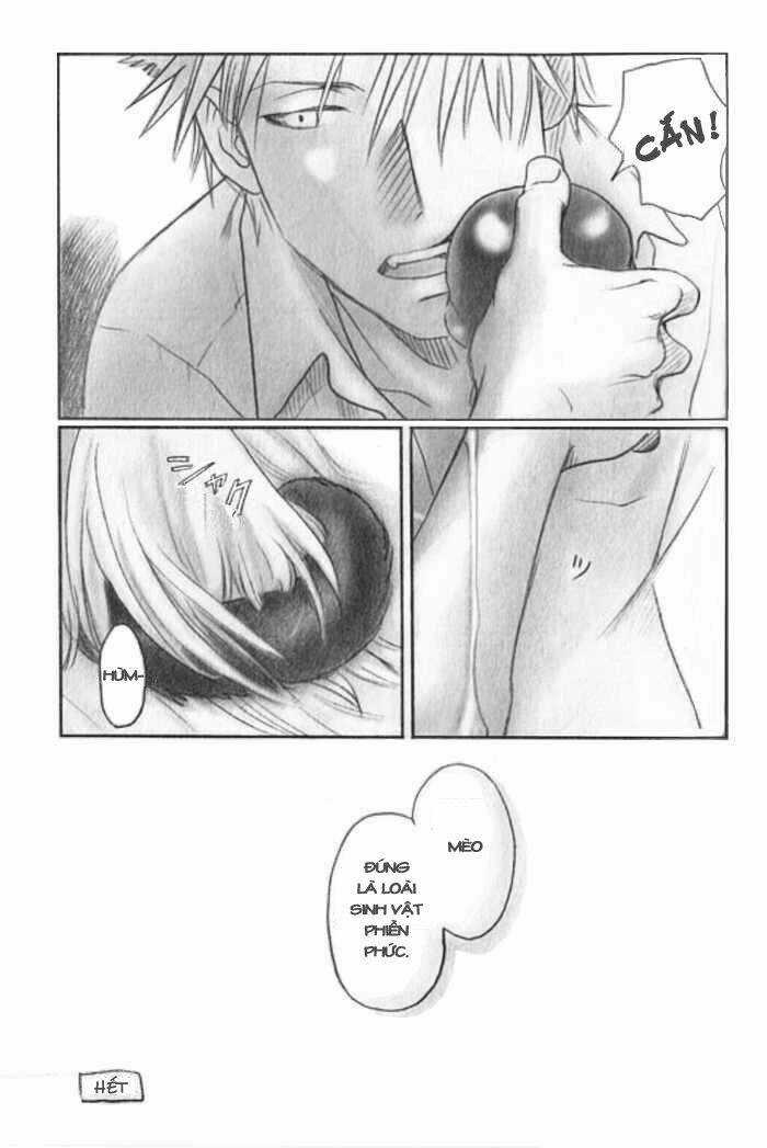 Maiden Rose-Special Chapter 7 trang 8