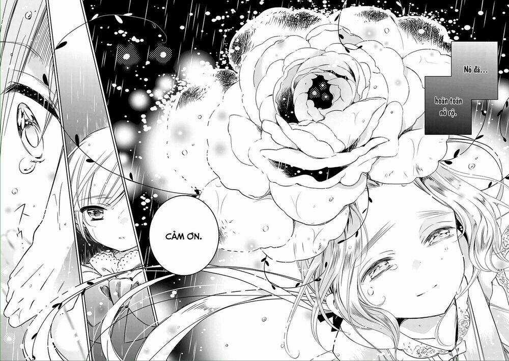 Majo no shinzou Chapter 4 trang 28