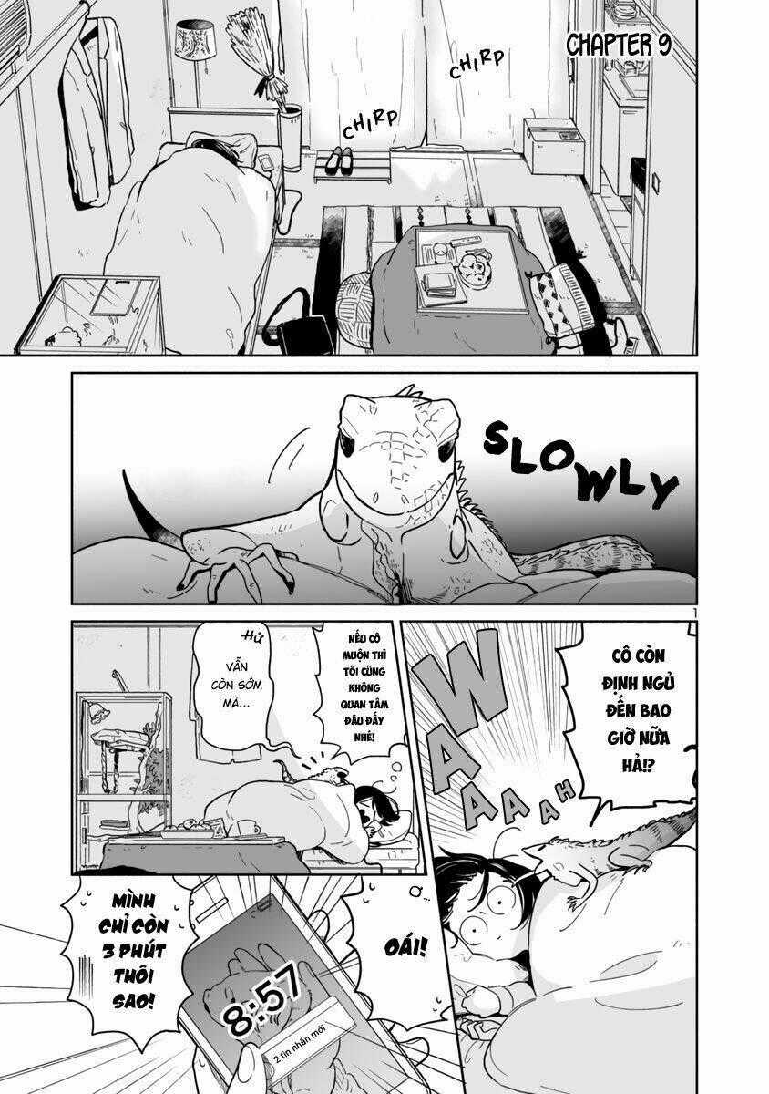 Majo-Senpai Nichijou Chapter 9 trang 0