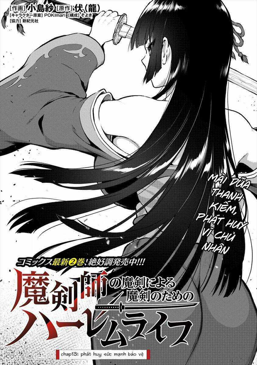 Makenshi No Maken Niyoru Maken No Tame No Harem Life Chapter 13 trang 3