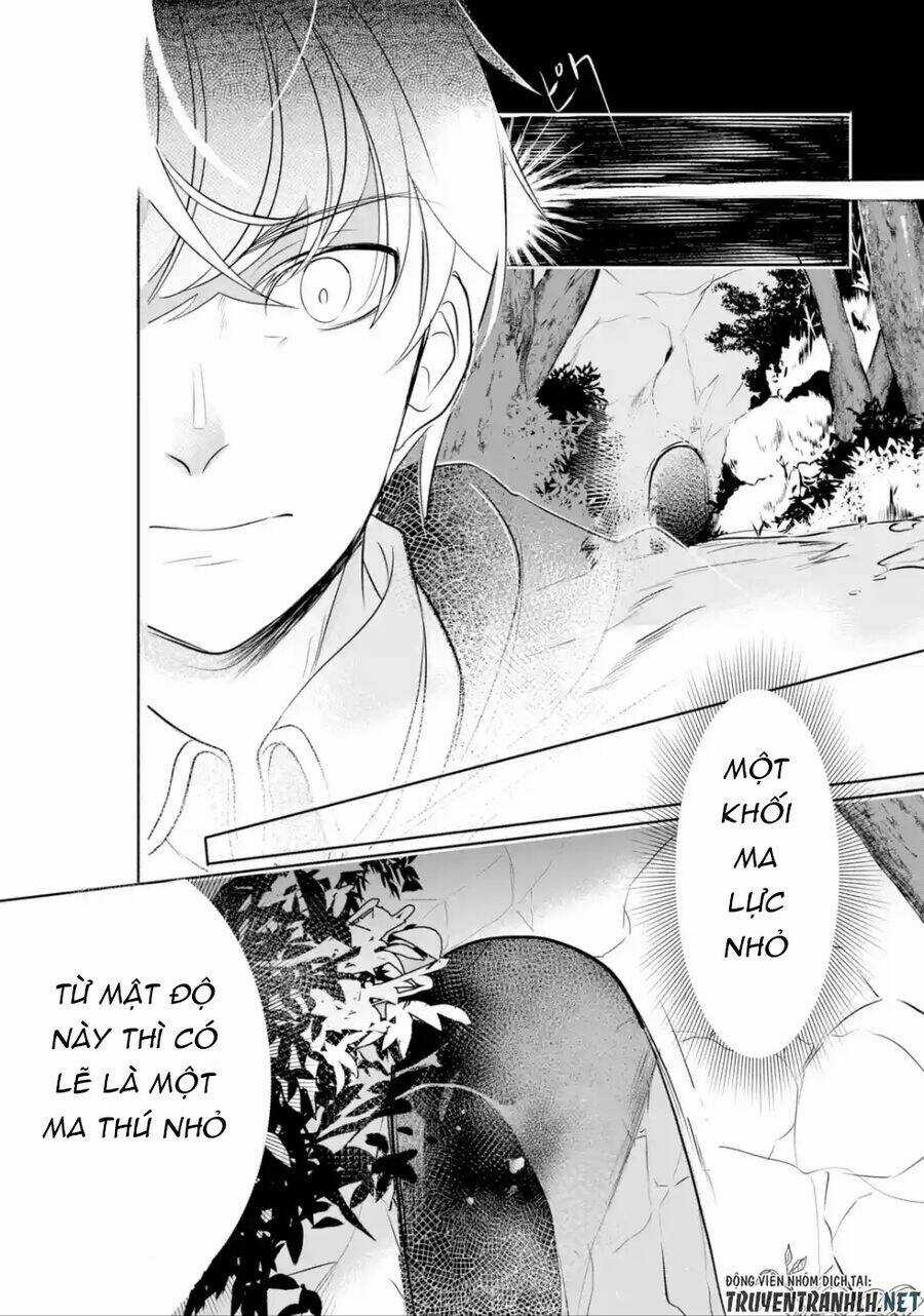 Mamono Wo Shitagaeru "Teiin" Wo Motsu Tensei Kenjya~ Katsute No Maho To Jyuma De Hissori Chapter 3.1 trang 9