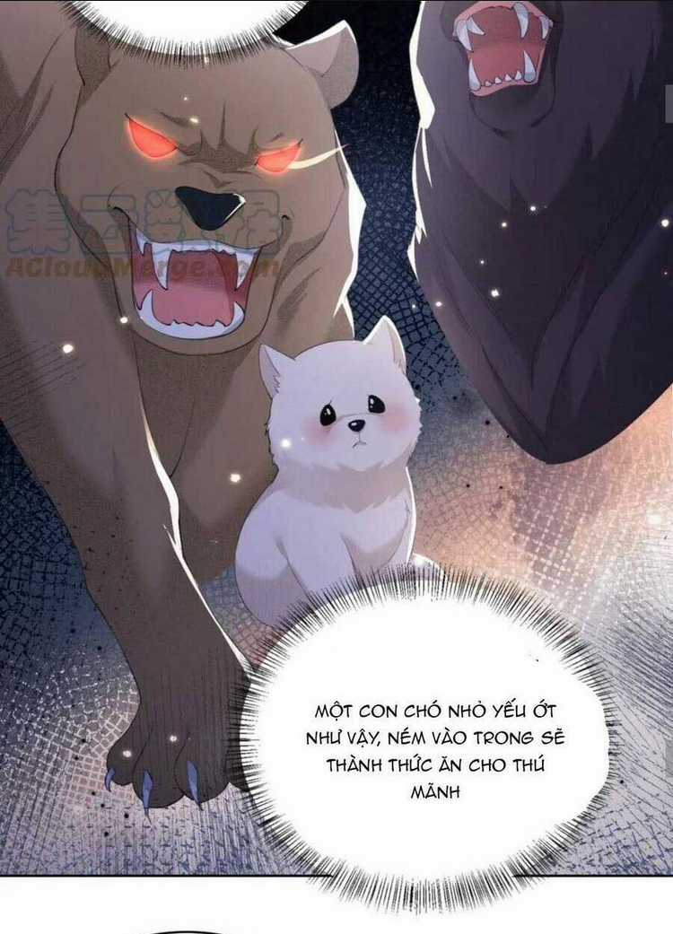 Mãn Cấp Trà Xanh Xuyên Không Thành Tiểu Đáng Thương Chapter 29 trang 33