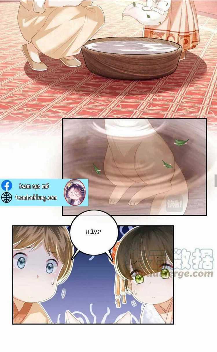 Mãn Cấp Trà Xanh Xuyên Không Thành Tiểu Đáng Thương Chapter 45 trang 33