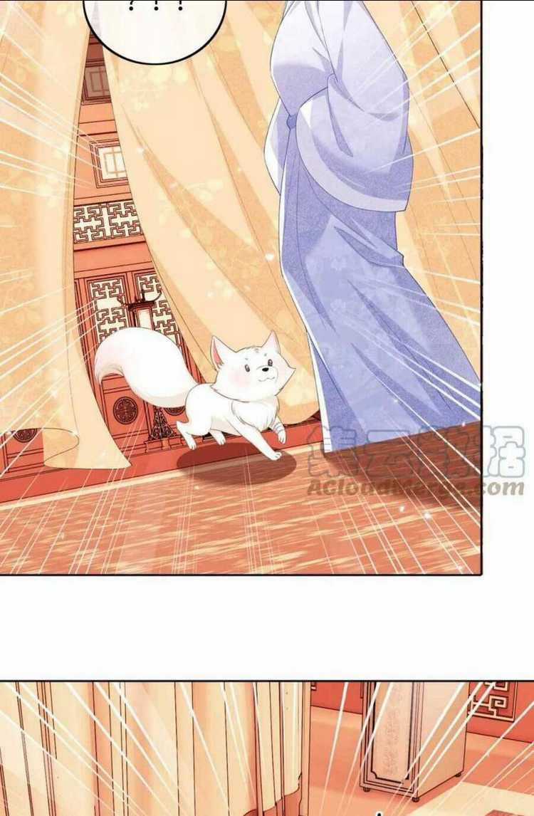 Mãn Cấp Trà Xanh Xuyên Không Thành Tiểu Đáng Thương Chapter 46 trang 13