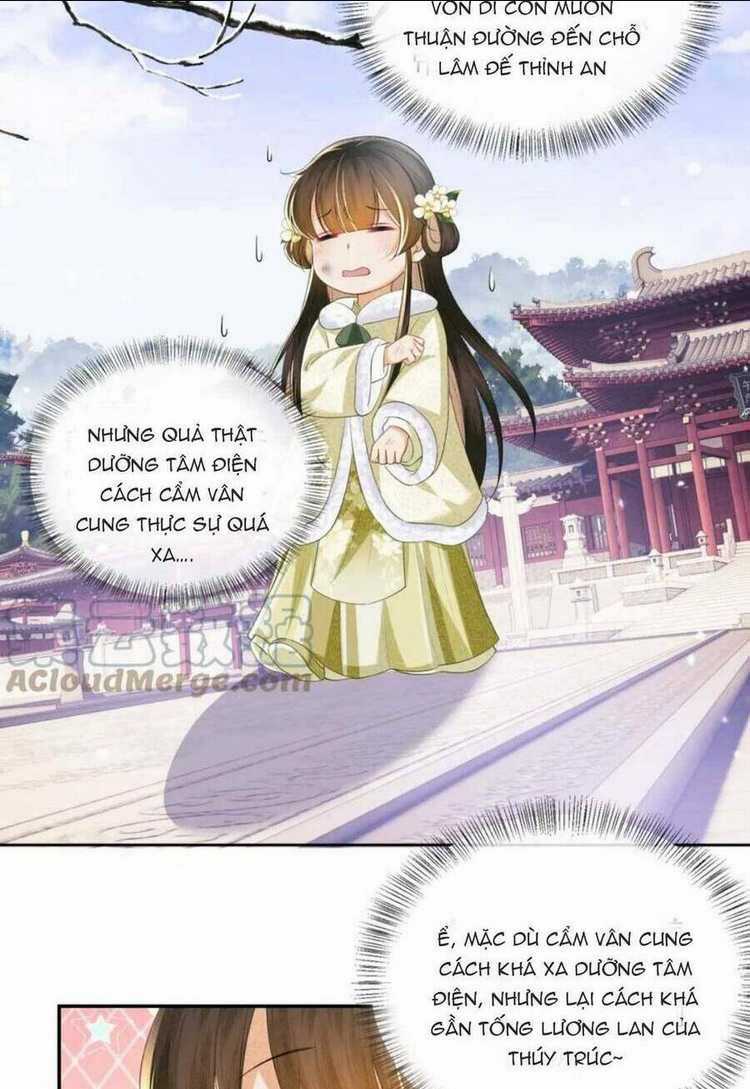 Mãn Cấp Trà Xanh Xuyên Không Thành Tiểu Đáng Thương Chapter 48 trang 14