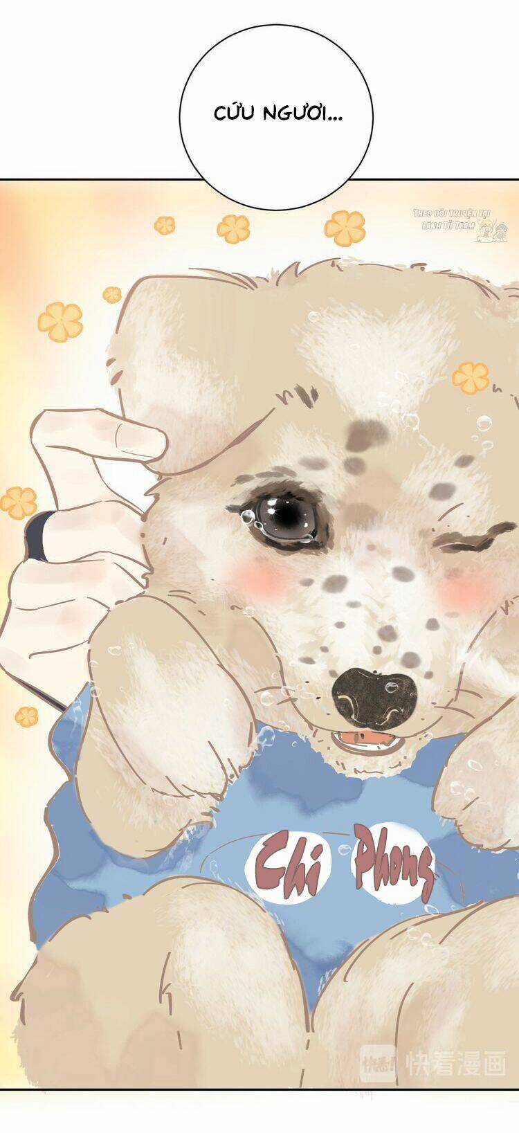 Mãn Đình Phương - Thiên Hạ Duy Khanh Chapter 4 trang 47