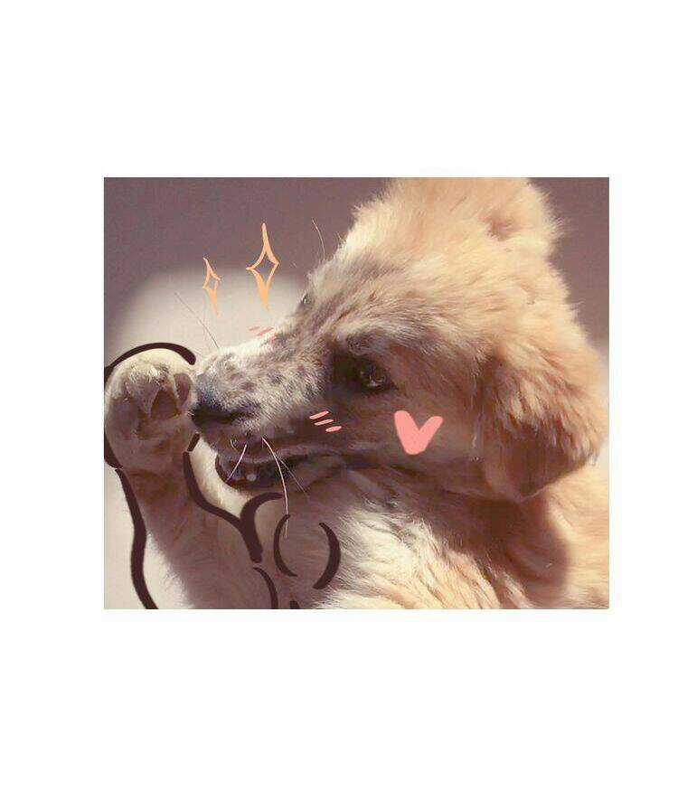 Mãn Đình Phương - Thiên Hạ Duy Khanh Chapter 4 trang 57