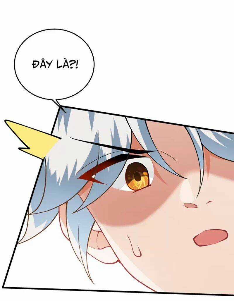 Mang Theo Các Tiên Tử Vô Địch Thiên Hạ Chapter 11 trang 44